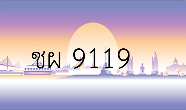 ชผ 9119